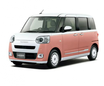 ムーヴキャンバス ストライプス G